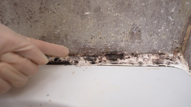 Best HVAC Mold Inspection and Cleaning  in Rankin, TX